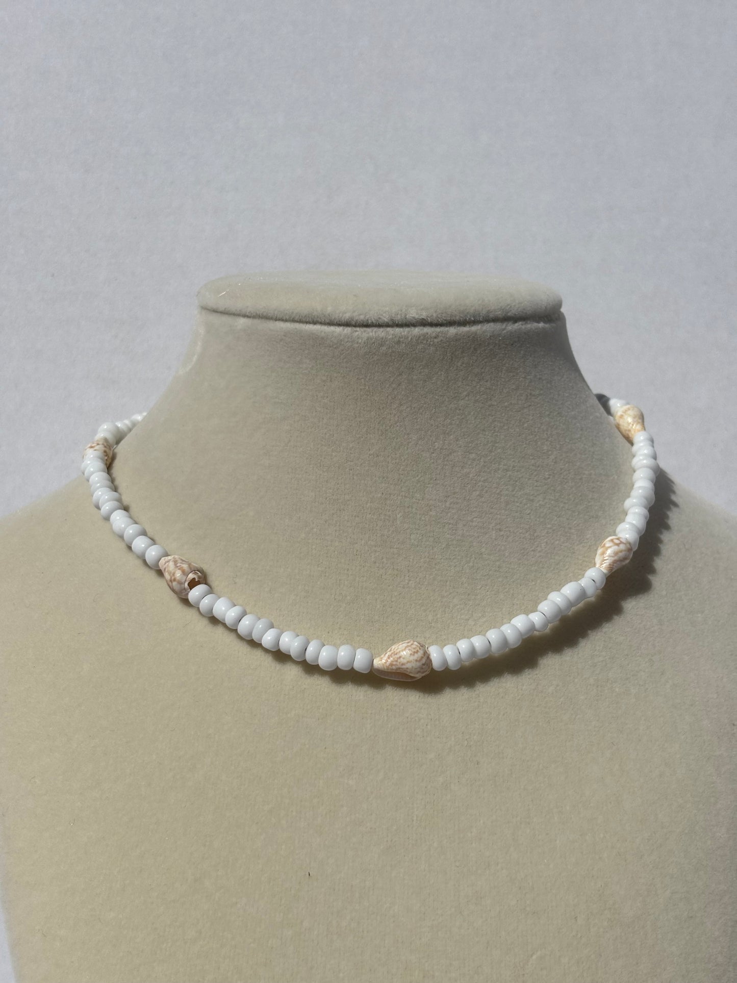 Sea Shell Cove Necklaces